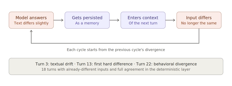 Cycle diagram: the model answers with slightly different text, that response is persisted as a memory, the memory enters the next turn's context, and the input stops being identical, which feeds the cycle again. Below: turn 3 textual drift, turn 13 first hard difference, turn 22 behavioral divergence, and 18 turns with already-different inputs and full agreement in the deterministic layer.