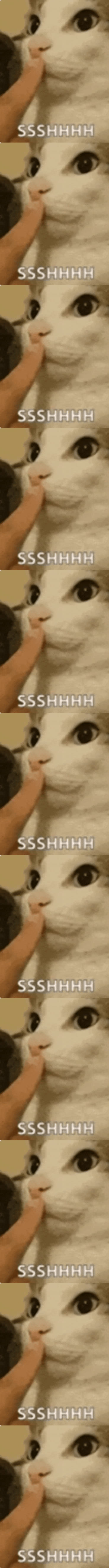 A cat putting one paw to its mouth to ask for quiet