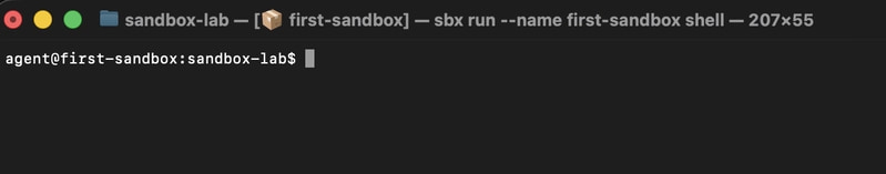 sbx launch first sandbox