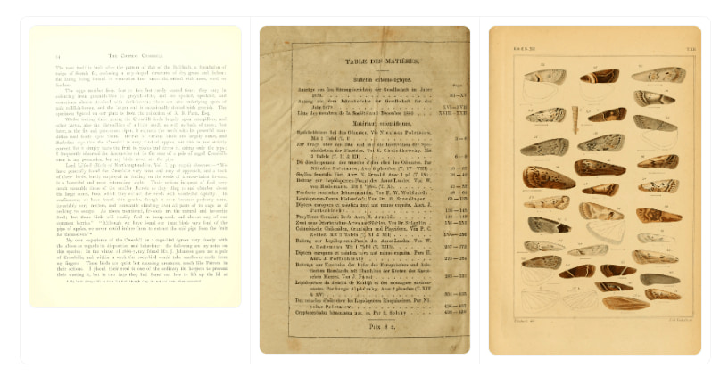 Three of the 2,165 ground-truth pages: a single-column English natural history text, a multilingual table of contents, and an illustration plate whose entire transcription is a single line of artist credit. | Image: FineBooks / Biodiversity Heritage Library