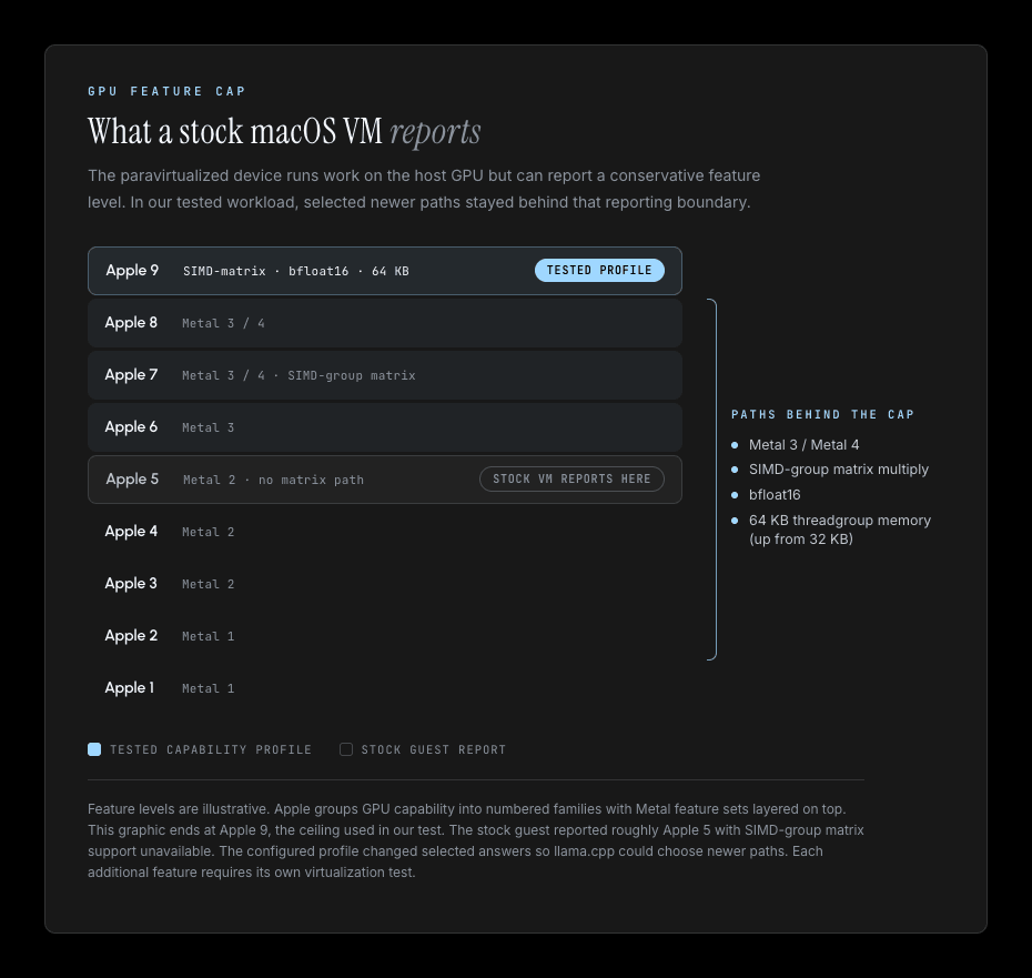 An illustrative Apple GPU capability ladder: the stock macOS guest reports an older capability band, while the tested profile exposes newer Metal paths including SIMD-group matrix operations, bfloat16, and 64 KB threadgroup memory.