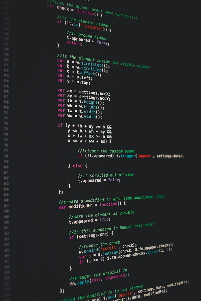 Developer working on Python project