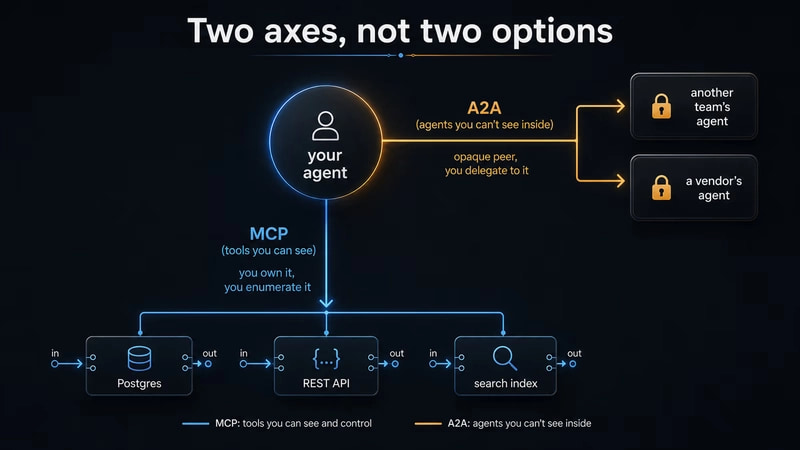 两个轴，而非两个选项：你的 agent 通过 MCP 向下连接到你可以枚举的工具（Postgres、REST API、搜索索引，每个都有输入/输出端口），通过 A2A 横向连接到你不透明的对等体（另一个团队的 agent、厂商的 agent），每个都有锁
