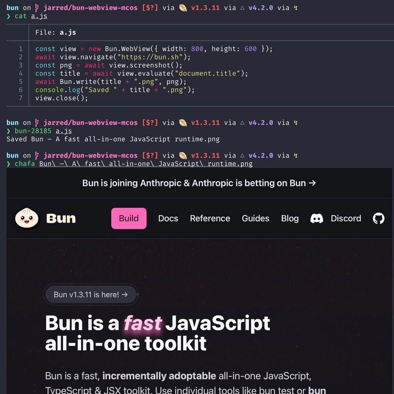 Bun 1.4 中原生的 raw  可以在程序化控制的浏览器中执行任意 JavaScript