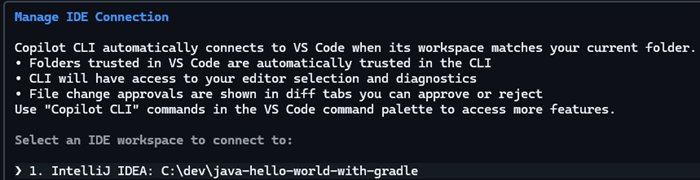 GitHub Copilot CLI connected to IntelliJ IDEA with the IDE context available