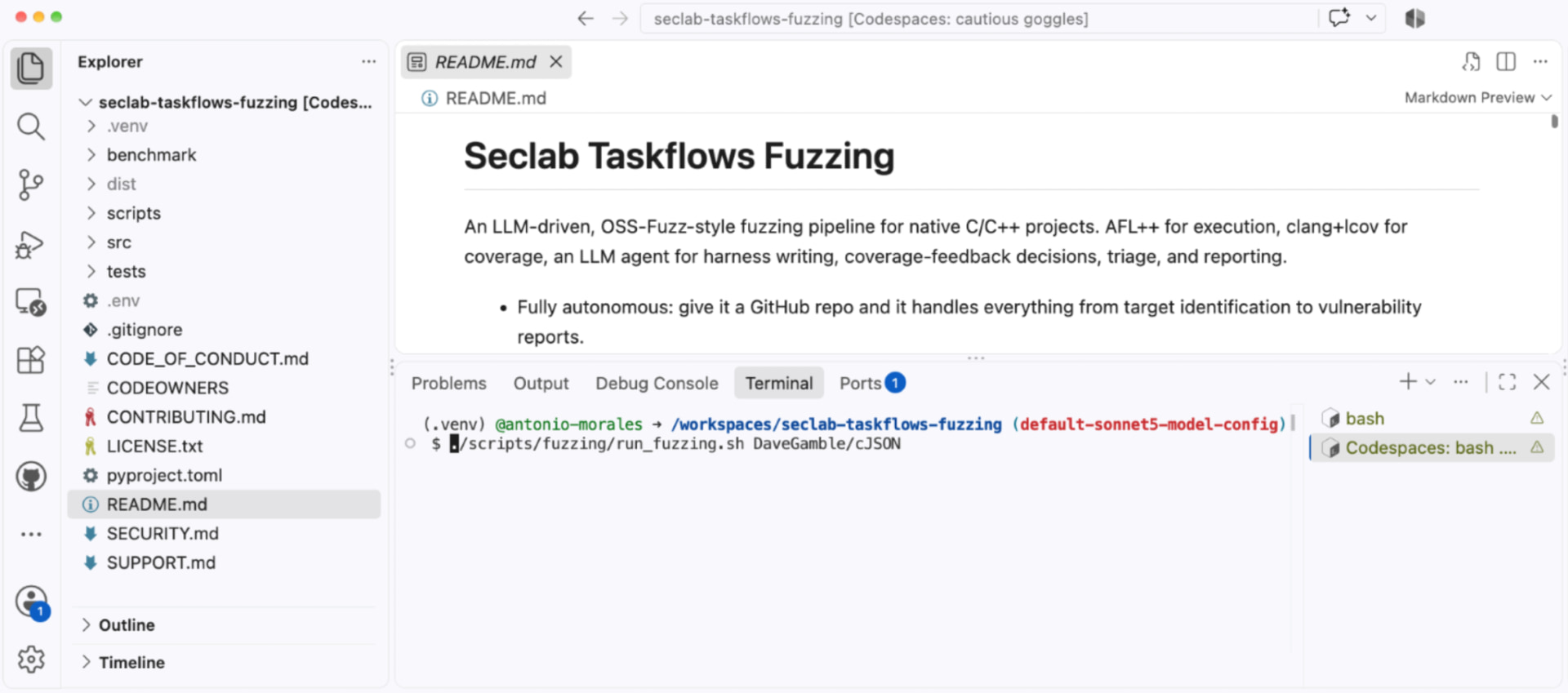 Screenshot of Seclab Taskflows Fuzzing.