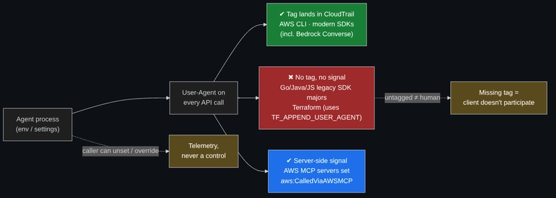 Where the tag lands, where it leaks, and why it is telemetry rather than a control