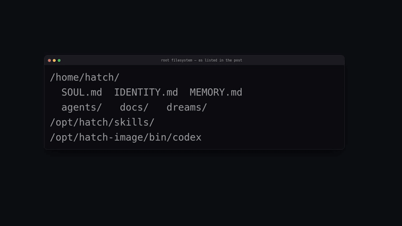 The layout Peter James lists in his post: /home/hatch with SOUL.md, IDENTITY.md, MEMORY.md, agents/, docs/, dreams/, plus /opt/hatch/skills/ and /opt/hatch-image/bin/codex