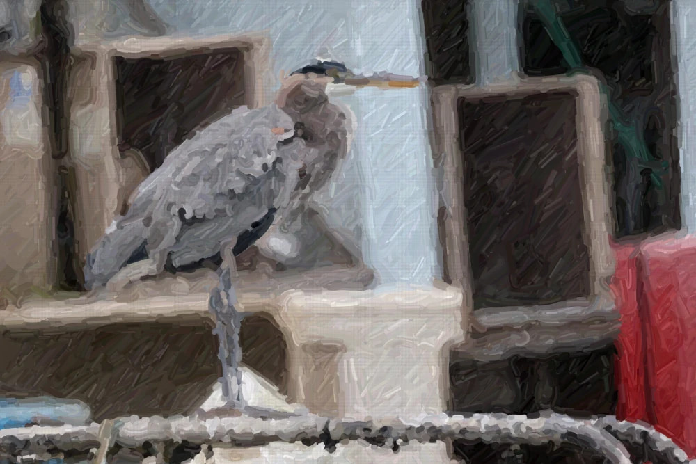 Quick Study 将苍鹭照片绘制成模拟油画效果
